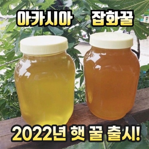재팬오-[꿀맛인증] 2022년 햇꿀출시 소백산 아카시아꿀